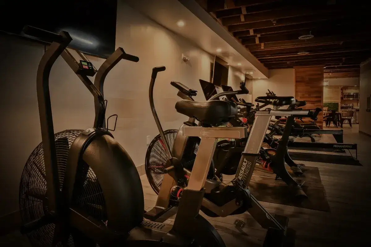 Air bikes and rowers in a row under the timber ceiling.